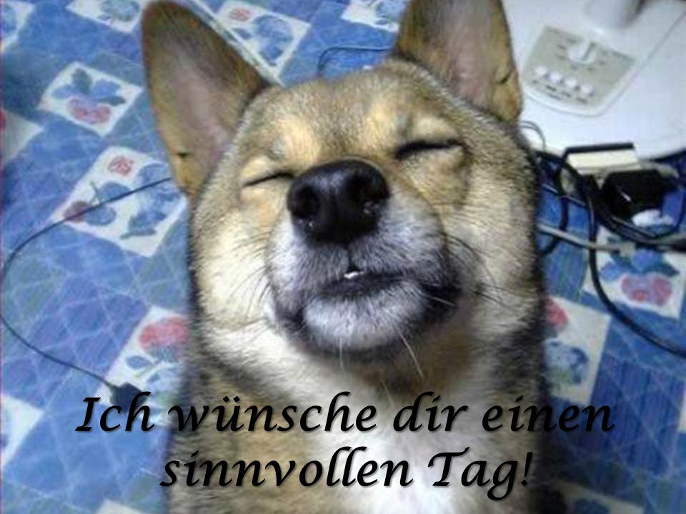 Ich wünsche dir einen sinnvollen Tag!