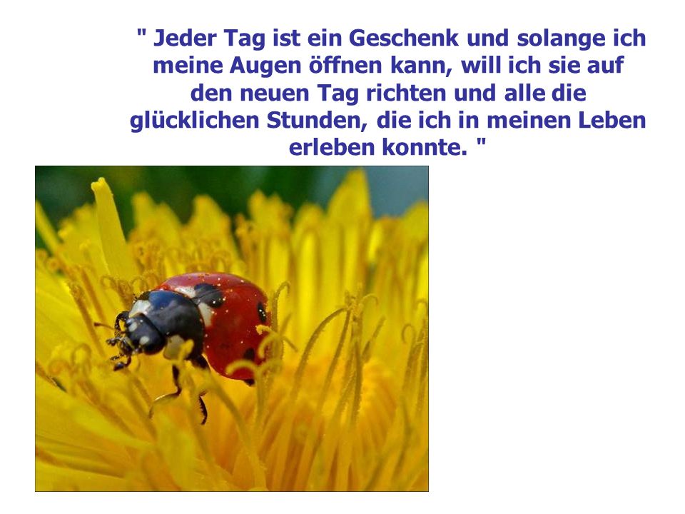 Jeder Tag ist ein Geschenk und solange ich meine Augen öffnen kann, will ich sie auf den neuen Tag richten und alle die glücklichen Stunden, die ich in meinen Leben erleben konnte.
