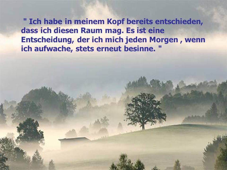 Ich habe in meinem Kopf bereits entschieden, dass ich diesen Raum mag.
