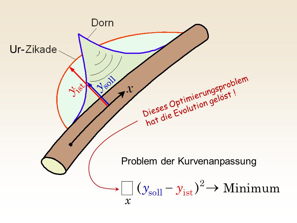 å y y ) ( ® - y Minimum x Ur- Problem der Kurvenanpassung soll ist 2