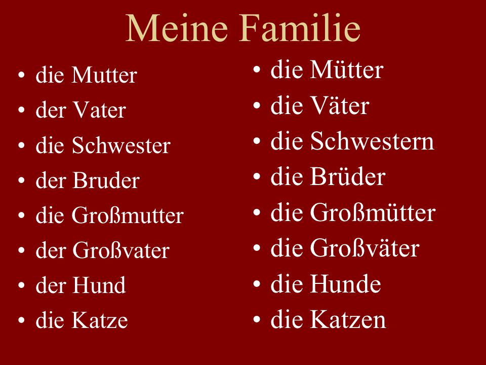 Meine Familie die Mütter die Väter die Schwestern die Brüder