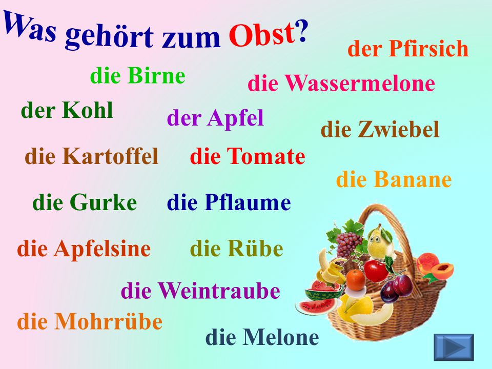 Was gehört zum Obst der Pfirsich die Birne die Wassermelone der Kohl
