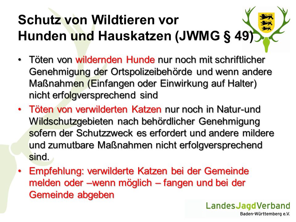 Schutz von Wildtieren vor Hunden und Hauskatzen (JWMG § 49)