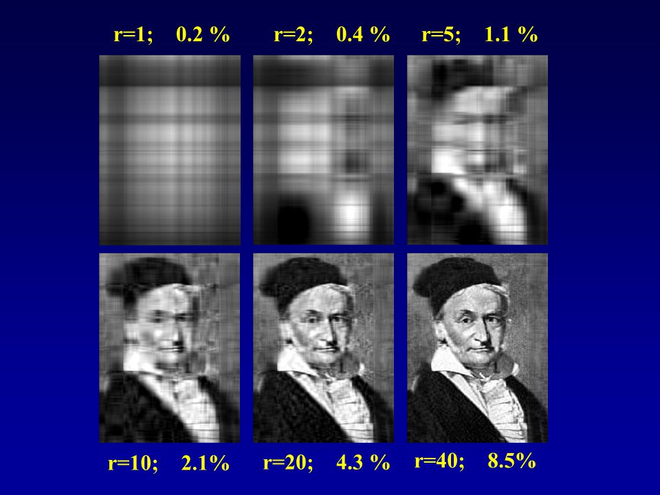 r=1; 0.2 % r=2; 0.4 % r=5; 1.1 % r=10; 2.1% r=20; 4.3 % r=40; 8.5%