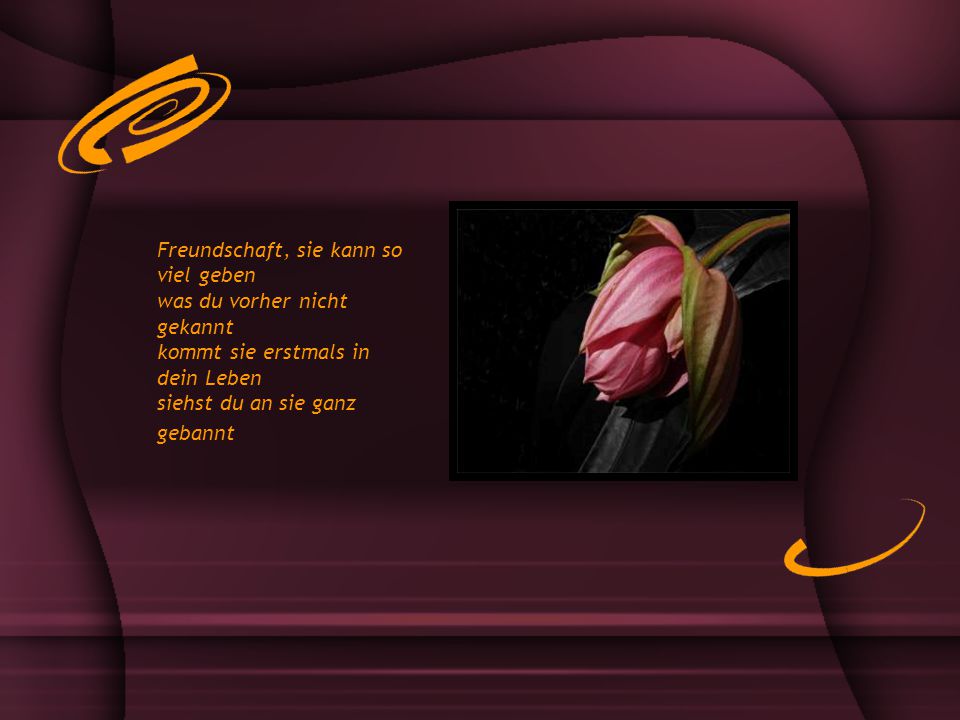 Freundschaft, sie kann so viel geben was du vorher nicht gekannt kommt sie erstmals in dein Leben siehst du an sie ganz gebannt