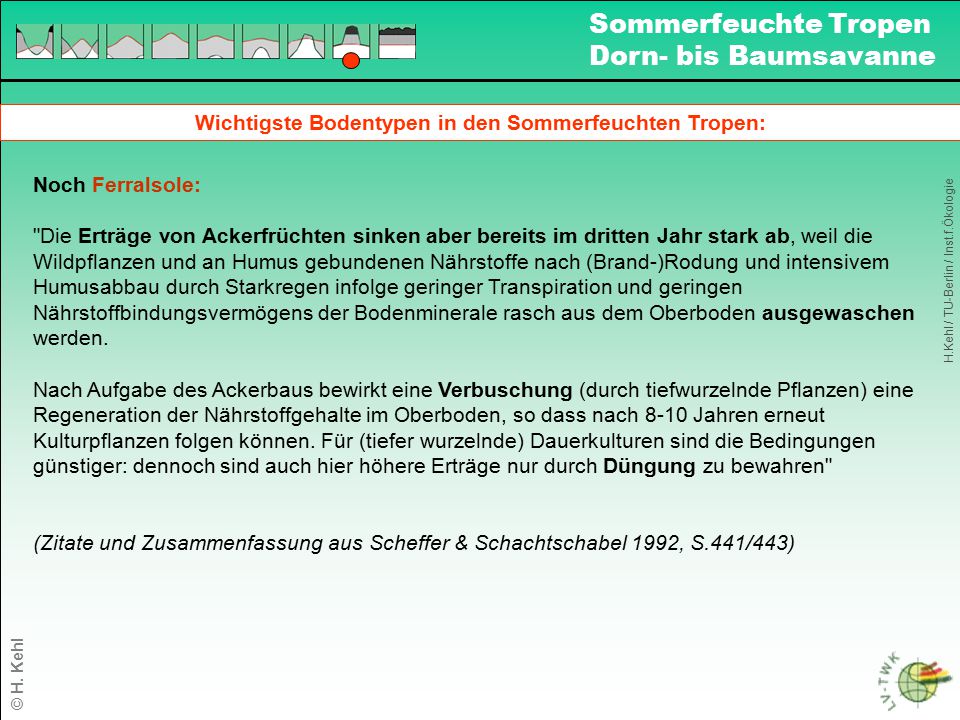 Wichtigste Bodentypen in den Sommerfeuchten Tropen: