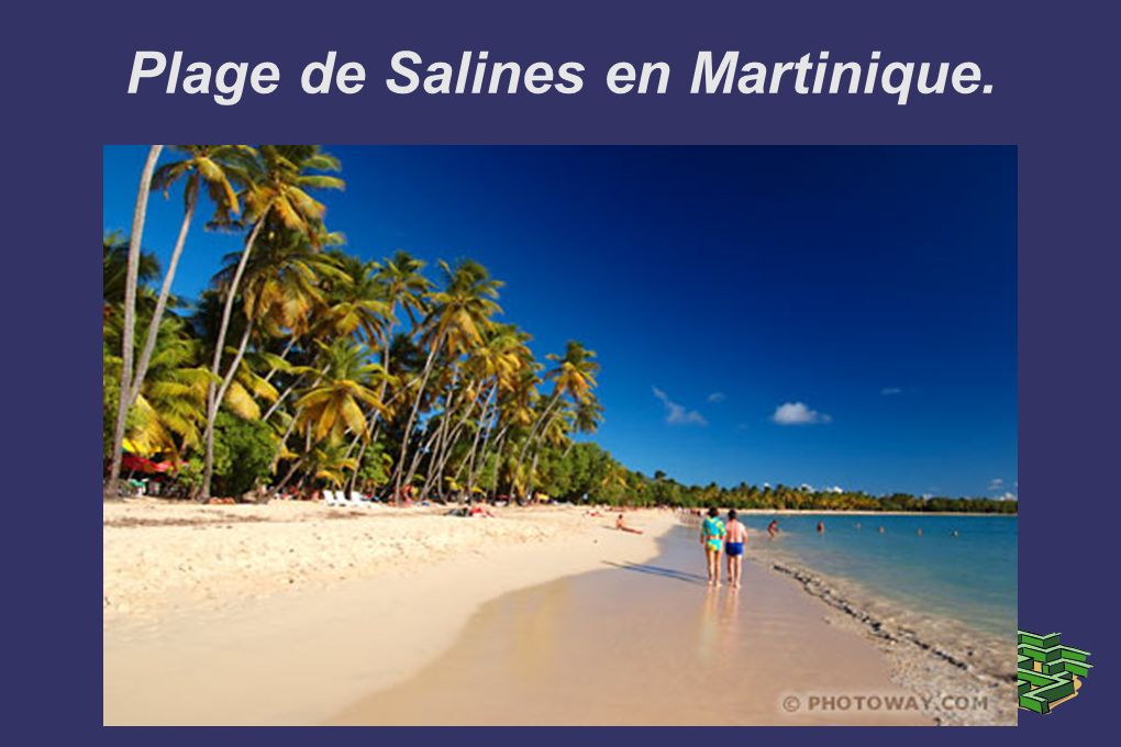 Plage de Salines en Martinique.
