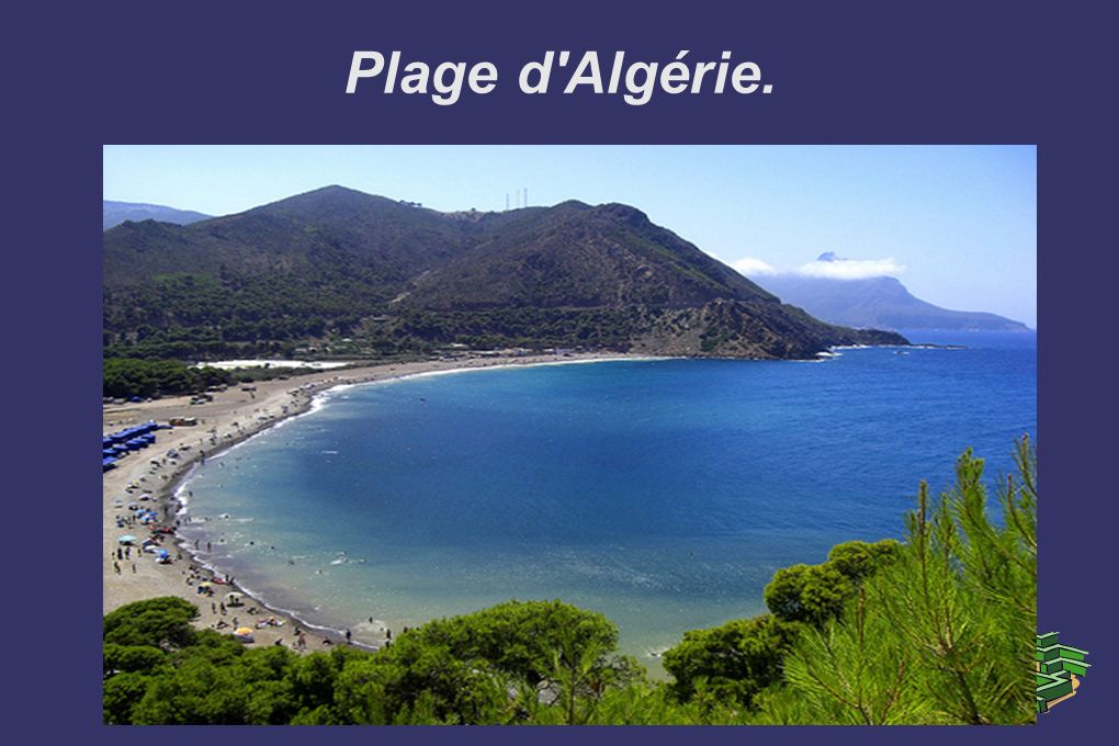 Plage d Algérie.