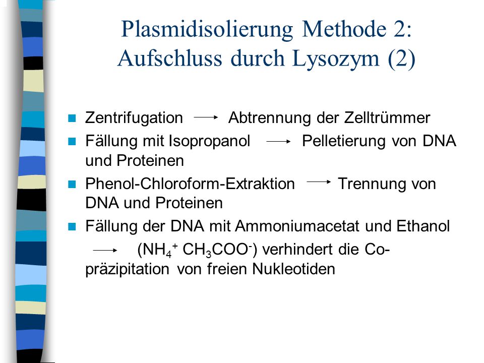 Plasmidisolierung Methode 2: Aufschluss durch Lysozym (2)
