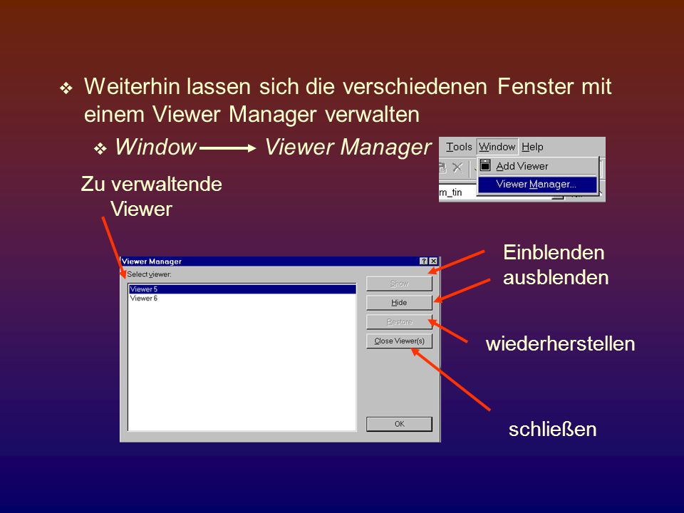 Weiterhin lassen sich die verschiedenen Fenster mit einem Viewer Manager verwalten