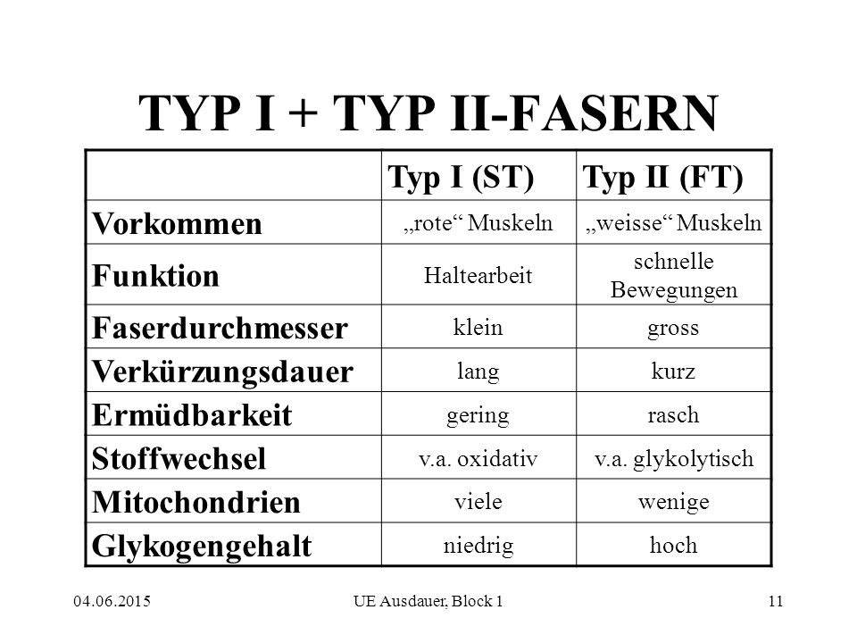 TYP I + TYP II-FASERN Typ I (ST) Typ II (FT) Vorkommen Funktion