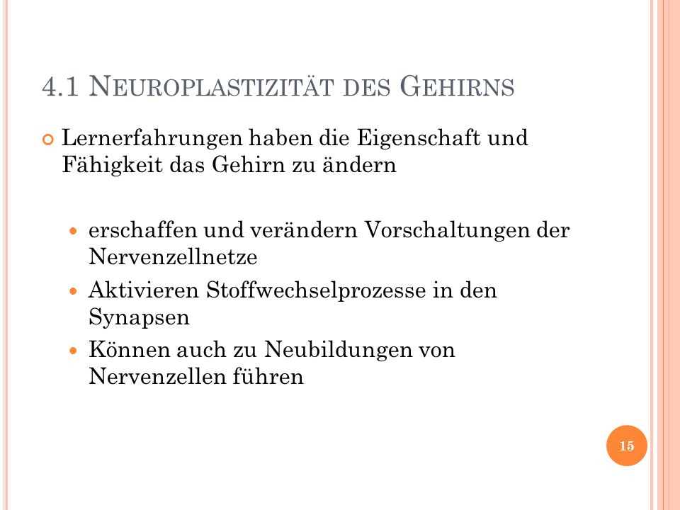 4.1 Neuroplastizität des Gehirns