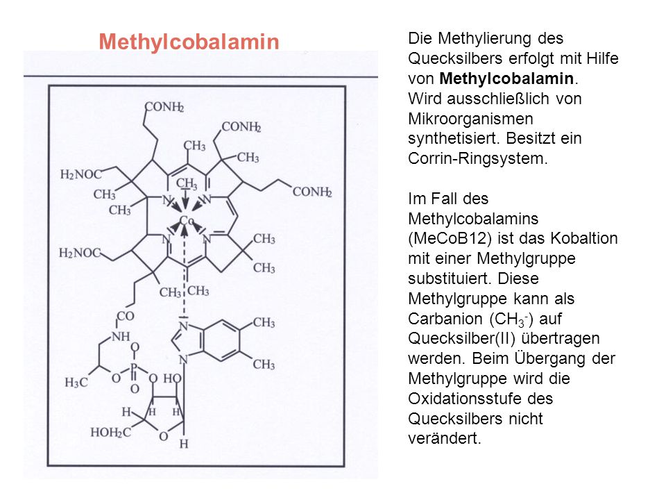 Methylcobalamin Die Methylierung des Quecksilbers erfolgt mit Hilfe von Methylcobalamin.