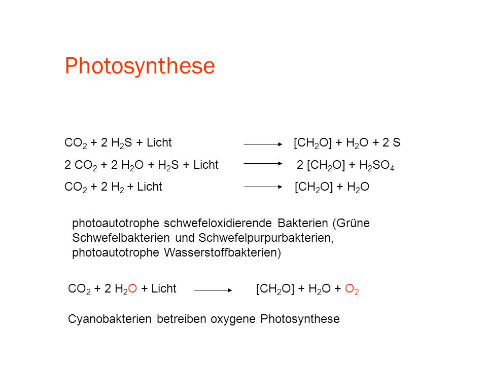 Photosynthese CO2 + 2 H2S + Licht [CH2O] + H2O + 2 S