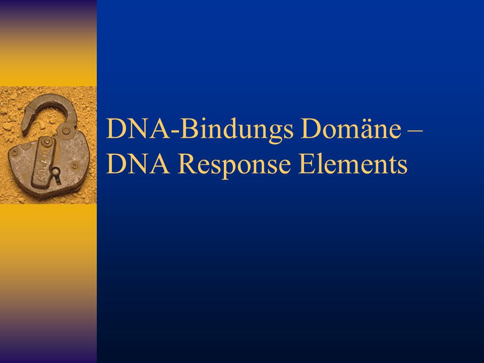 DNA-Bindungs Domäne – DNA Response Elements