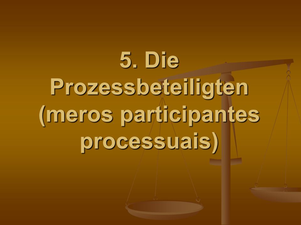 5. Die Prozessbeteiligten (meros participantes processuais)