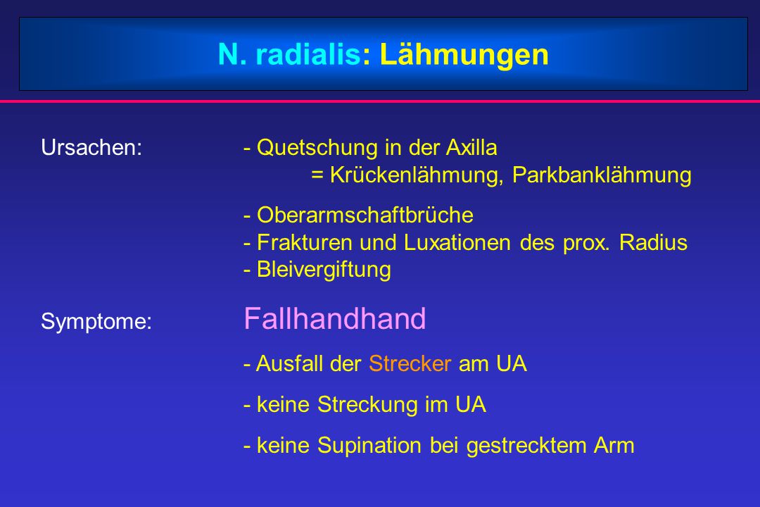 N. radialis: Lähmungen Ursachen: - Quetschung in der Axilla = Krückenlähmung, Parkbanklähmung.