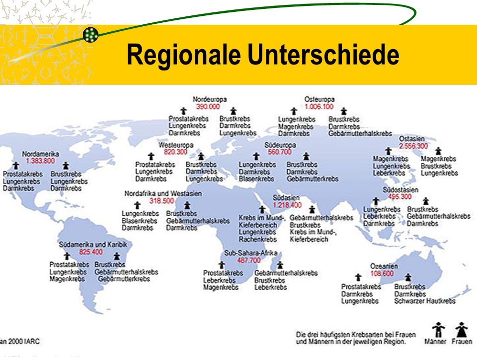 Regionale Unterschiede
