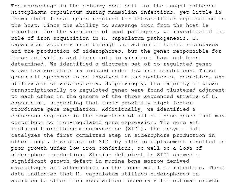 The macrophage is the primary host cell for the fungal pathogen Histoplasma capsulatum during mammalian infections, yet little is known about fungal genes required for intracellular replication in the host.