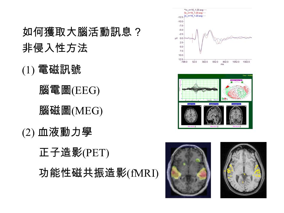 如何獲取大腦活動訊息？ 非侵入性方法 (1) 電磁訊號 腦電圖(EEG) 腦磁圖(MEG) (2) 血液動力學 正子造影(PET) 功能性磁共振造影(fMRI)