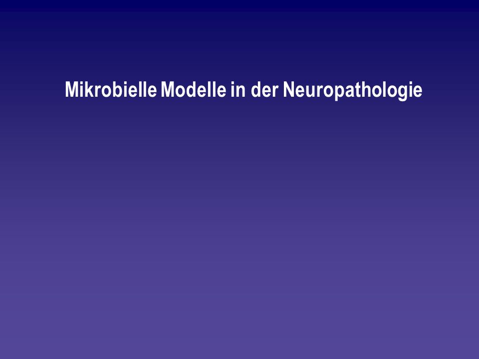 Mikrobielle Modelle in der Neuropathologie