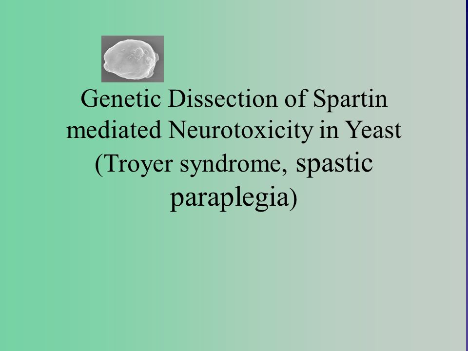 Genetic Dissection of Spartin mediated Neurotoxicity in Yeast (Troyer syndrome, spastic paraplegia)