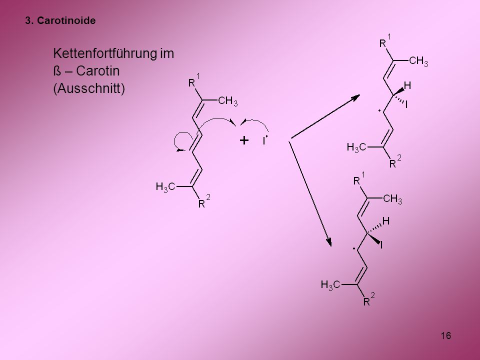 3. Carotinoide Kettenfortführung im ß – Carotin (Ausschnitt)