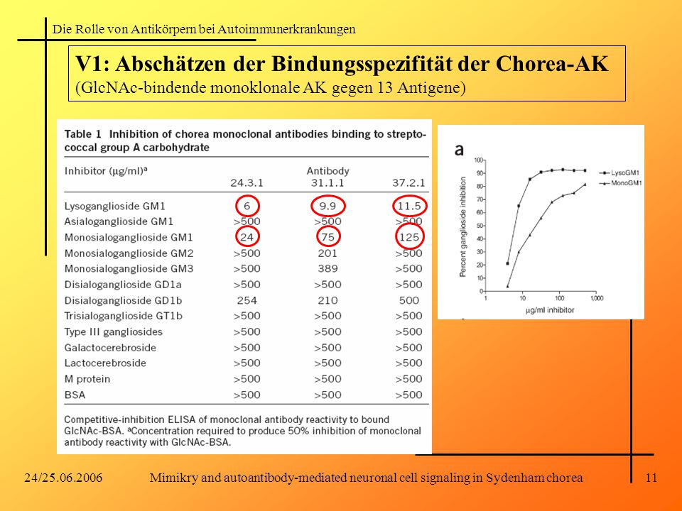 Mimikry and autoantibody-mediated neuronal cell signaling in Sydenham chorea
