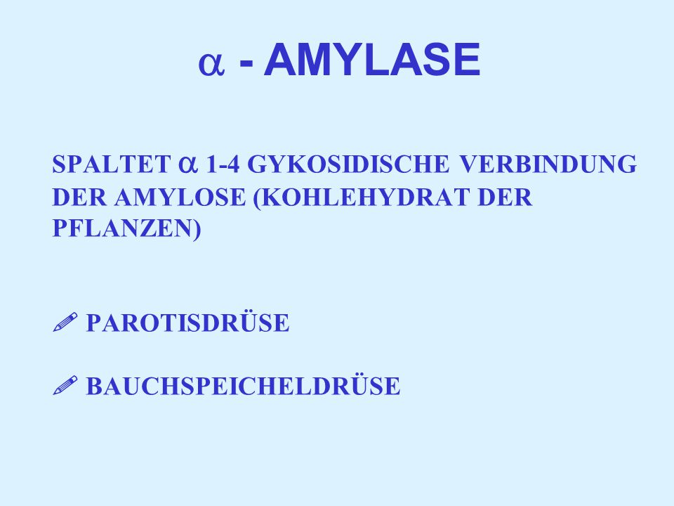  - AMYLASE SPALTET  1-4 GYKOSIDISCHE VERBINDUNG DER AMYLOSE (KOHLEHYDRAT DER PFLANZEN)  PAROTISDRÜSE  BAUCHSPEICHELDRÜSE.