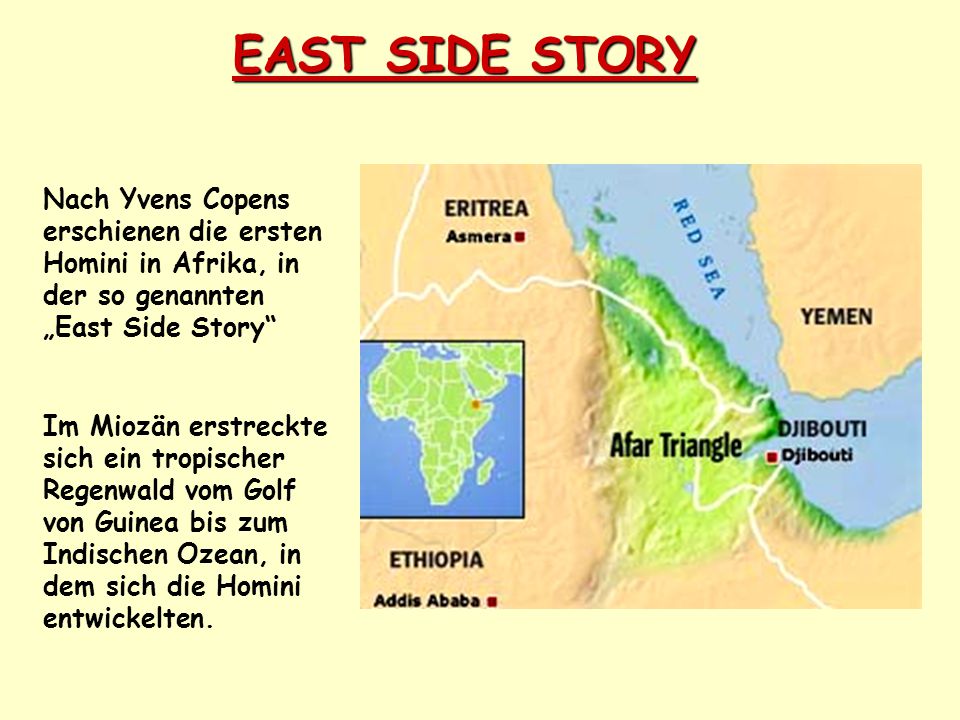 EAST SIDE STORY Nach Yvens Copens erschienen die ersten Homini in Afrika, in der so genannten „East Side Story