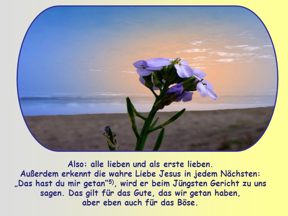 Also: alle lieben und als erste lieben.