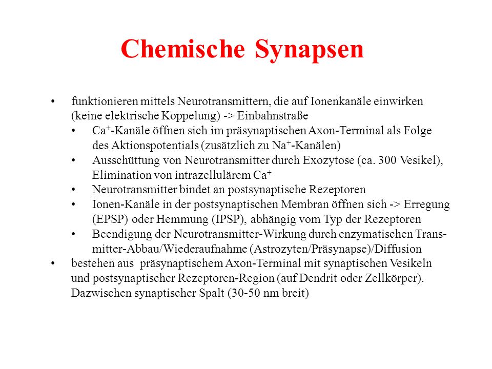 Chemische Synapsen • funktionieren mittels Neurotransmittern, die auf Ionenkanäle einwirken. (keine elektrische Koppelung) -> Einbahnstraße.