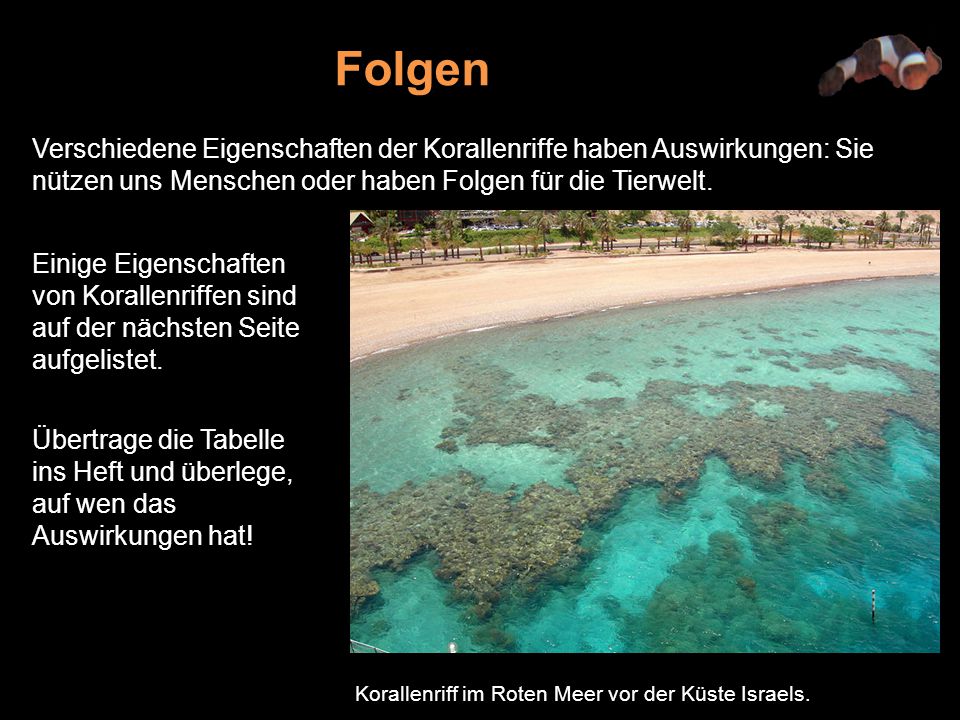 Folgen Verschiedene Eigenschaften der Korallenriffe haben Auswirkungen: Sie nützen uns Menschen oder haben Folgen für die Tierwelt.