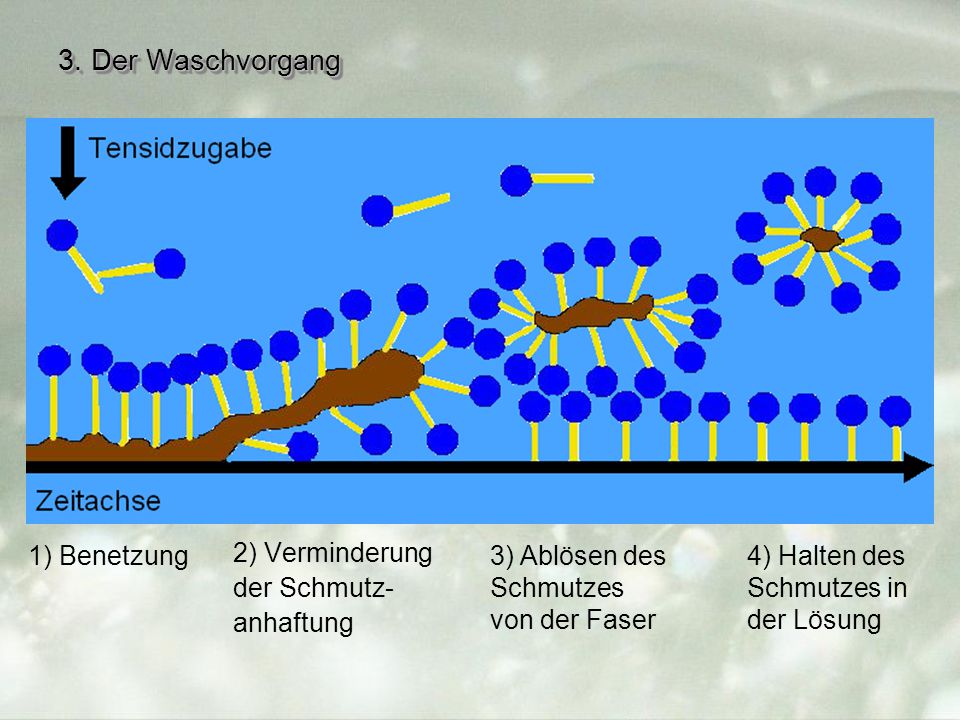 3. Der Waschvorgang 1) Benetzung 2) Verminderung der Schmutz-