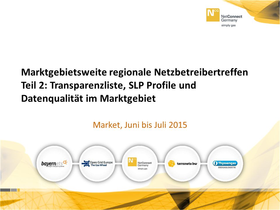 Marktgebietsweite regionale Netzbetreibertreffen Teil 2: Transparenzliste, SLP Profile und Datenqualität im Marktgebiet