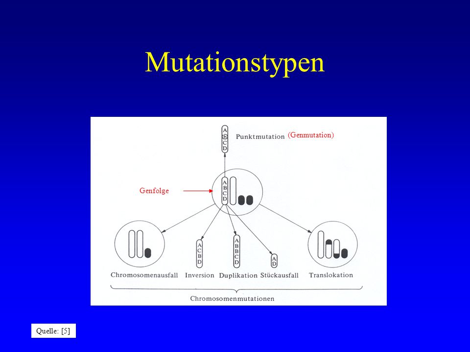 Mutationstypen (Genmutation) Genfolge Quelle: [5]