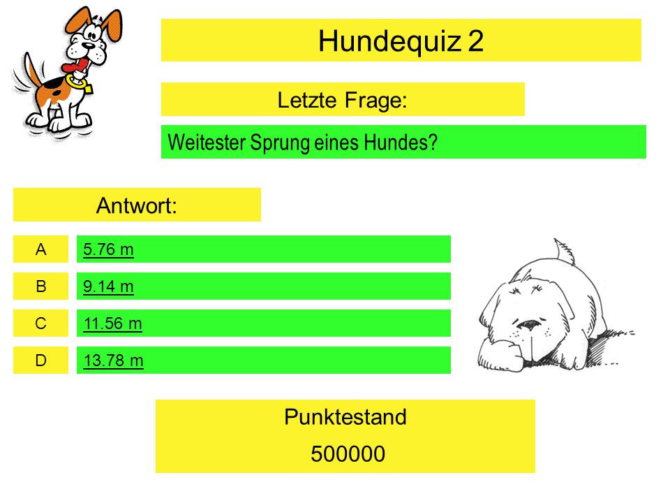 Hundequiz 2 Letzte Frage: Weitester Sprung eines Hundes Antwort: