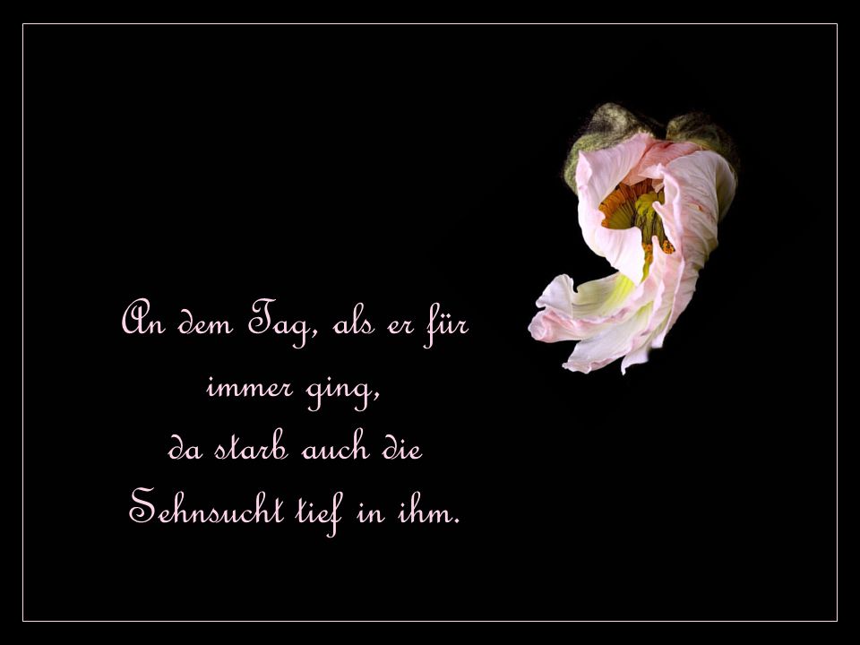 An dem Tag, als er für immer ging, da starb auch die Sehnsucht tief in ihm.