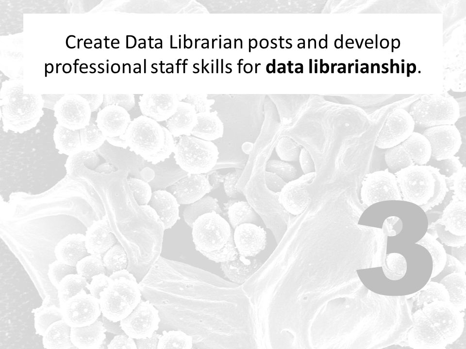 Create Data Librarian posts and develop professional staff skills for data librarianship.