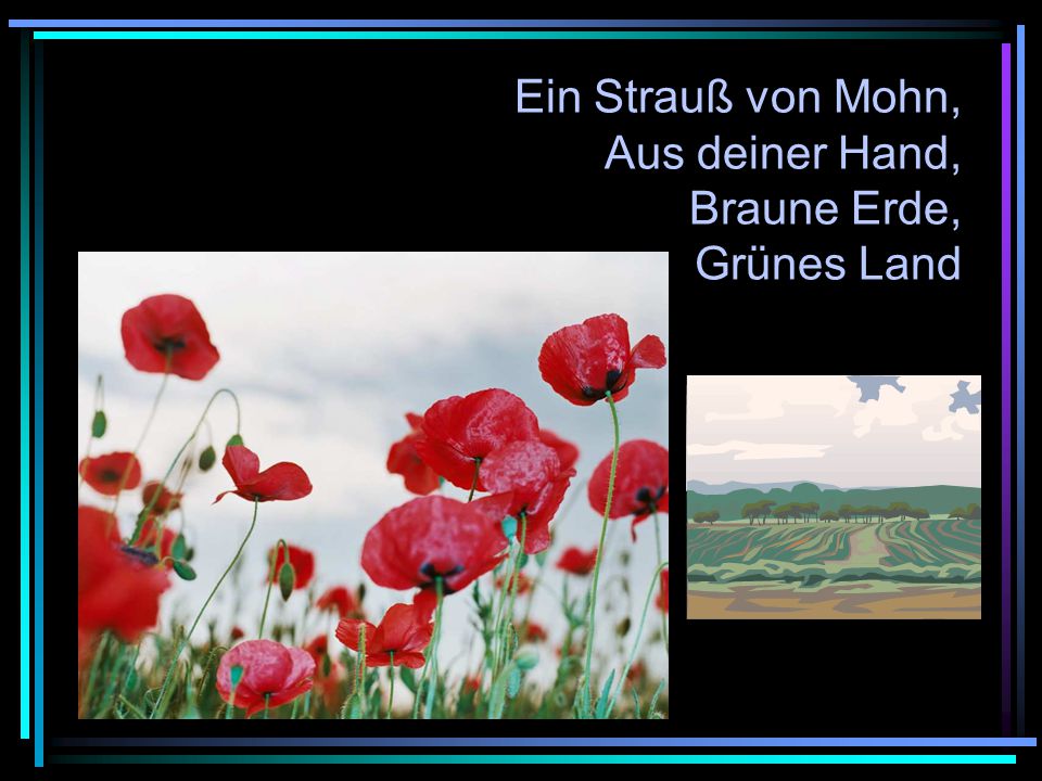 Ein Strauß von Mohn, Aus deiner Hand, Braune Erde, Grünes Land