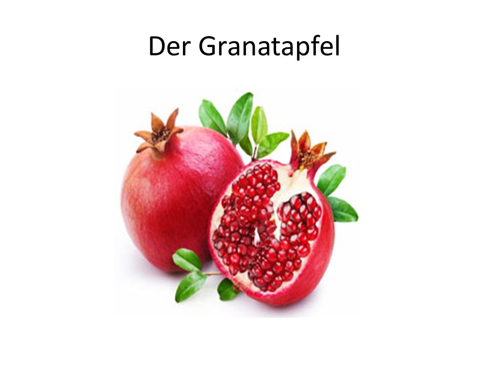 Der Granatapfel