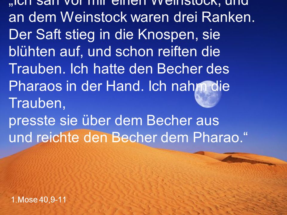 „Ich sah vor mir einen Weinstock, und an dem Weinstock waren drei Ranken. Der Saft stieg in die Knospen, sie blühten auf, und schon reiften die Trauben. Ich hatte den Becher des Pharaos in der Hand. Ich nahm die Trauben, presste sie über dem Becher aus und reichte den Becher dem Pharao.