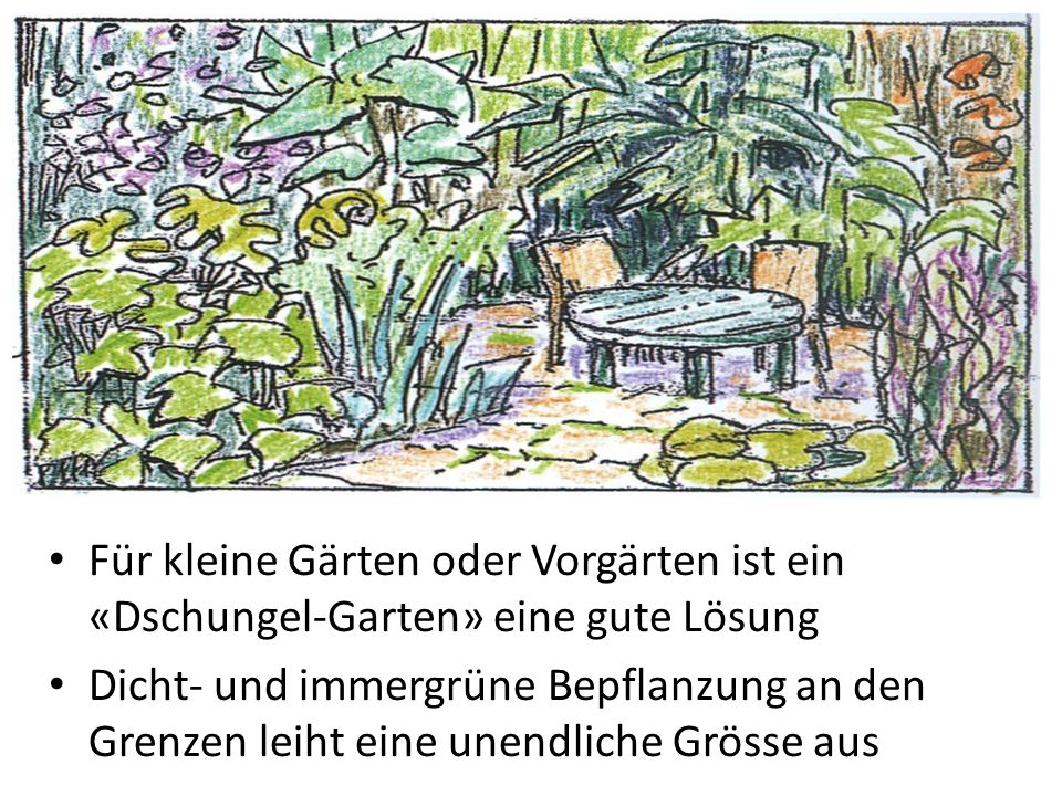 Für kleine Gärten oder Vorgärten ist ein «Dschungel-Garten» eine gute Lösung