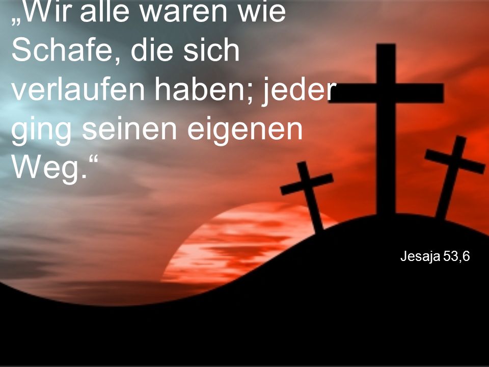 „Wir alle waren wie Schafe, die sich verlaufen haben; jeder ging seinen eigenen Weg.