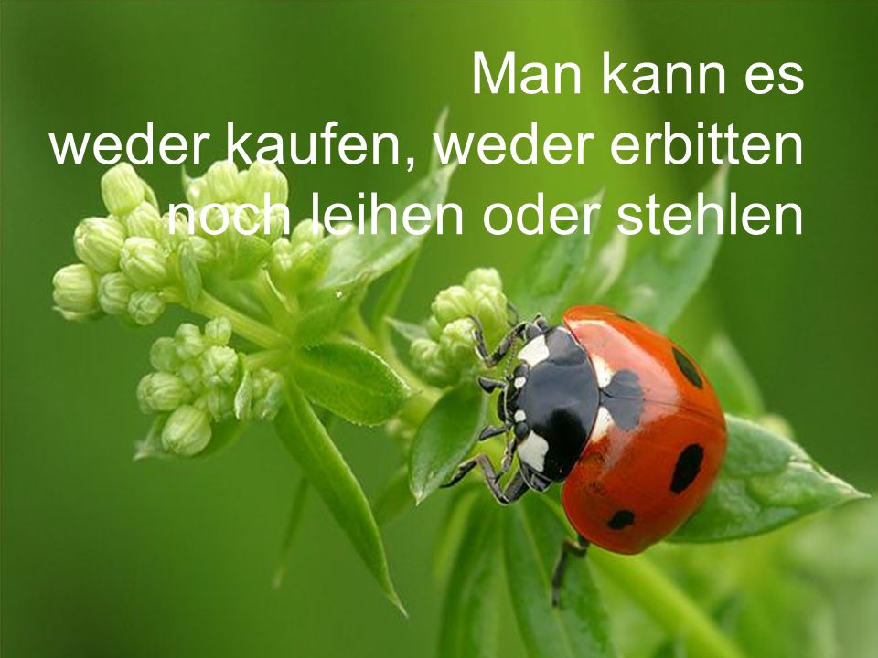 Man kann es weder kaufen, weder erbitten noch leihen oder stehlen