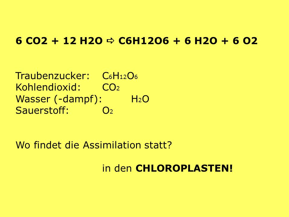 6 CO H2O  C6H12O6 + 6 H2O + 6 O2 Traubenzucker: C6H12O6 Kohlendioxid: CO2 Wasser (-dampf): H2O Sauerstoff: O2.