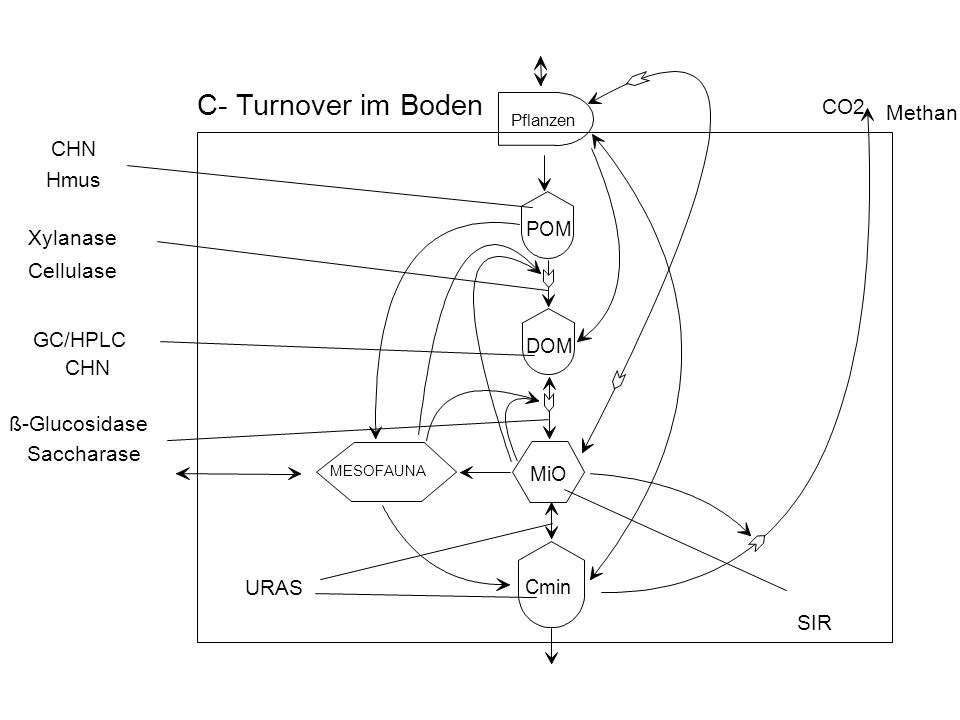 C- Turnover im Boden CO2 Methan CHN Hmus Xylanase Cellulase GC/HPLC