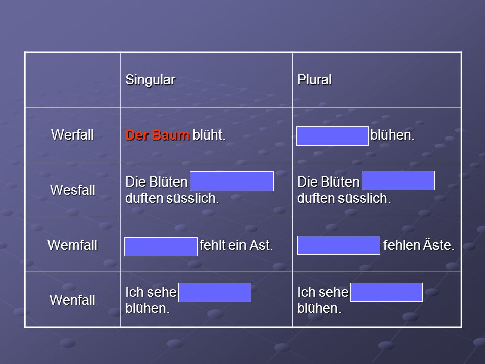 Singular Plural. Werfall. Der Baum blüht. Die Bäume blühen. Wesfall. Die Blüten des Baumes duften süsslich.