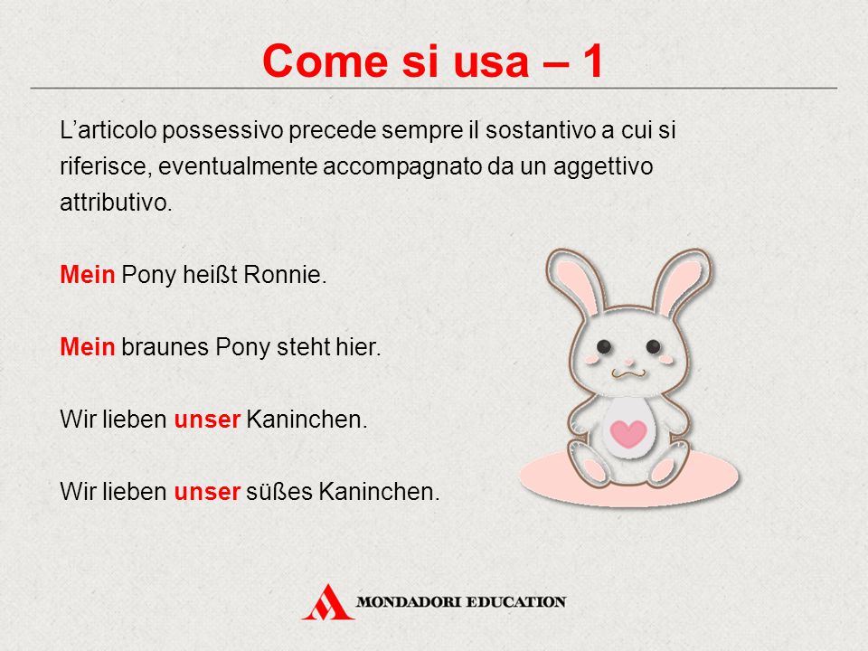 Come si usa – 1 L’articolo possessivo precede sempre il sostantivo a cui si riferisce, eventualmente accompagnato da un aggettivo attributivo.