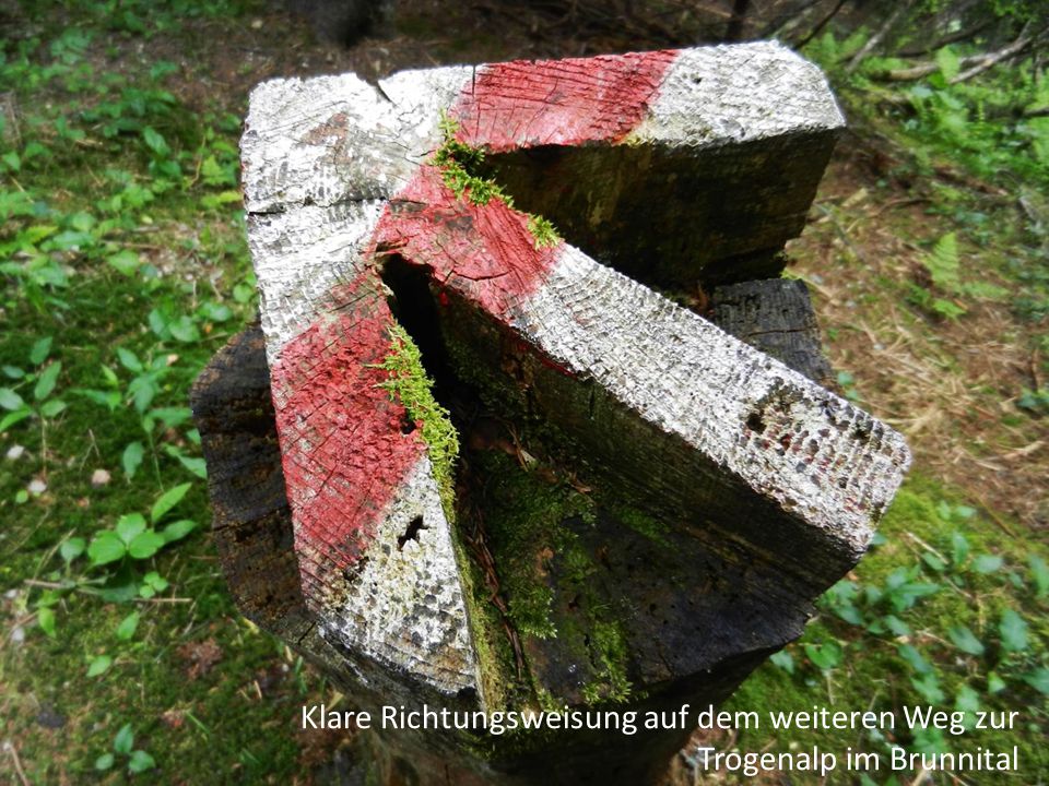 Klare Richtungsweisung auf dem weiteren Weg zur Trogenalp im Brunnital